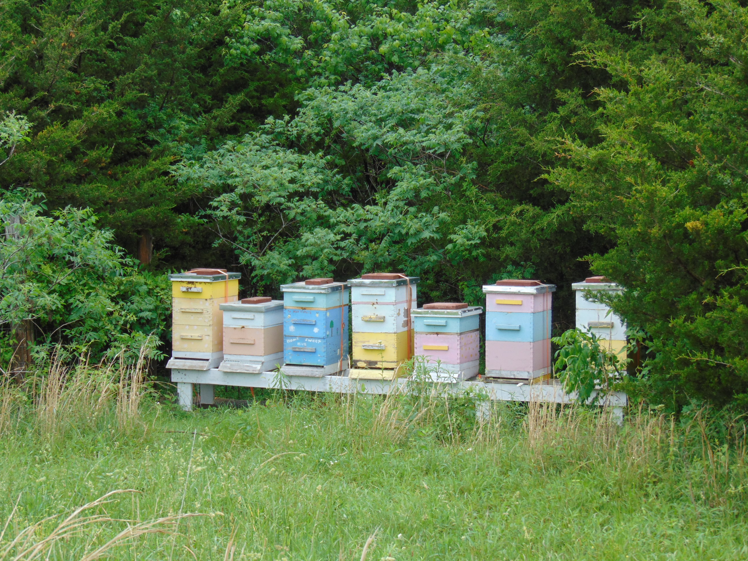 7 beehives in a row