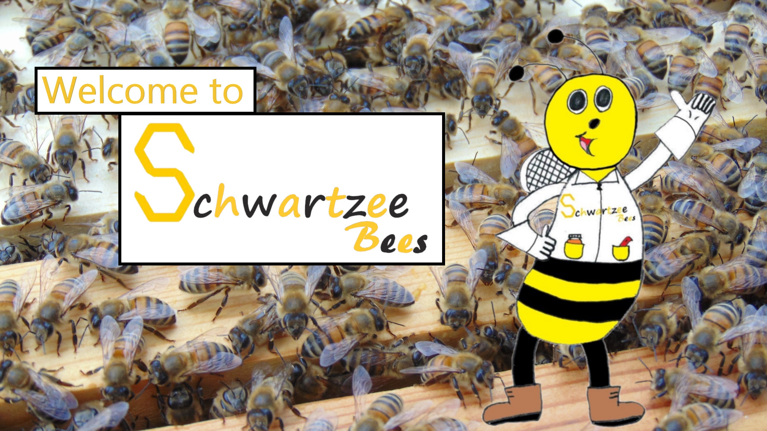 Schwartzee Bee hero image